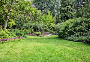 Optimiser l'expérience du jardin à Crillon
